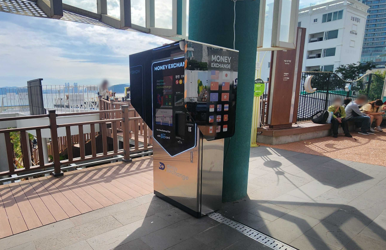 Blue Line Park Mipo Station